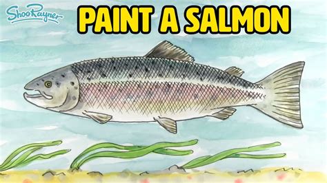 How To Draw An Atlantic Salmon Youtube