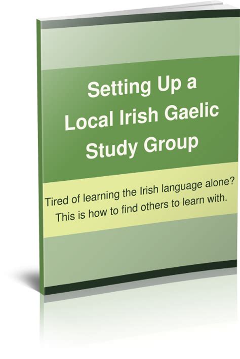 Irish Gaelic Study Group Ebook Bitesize Irish