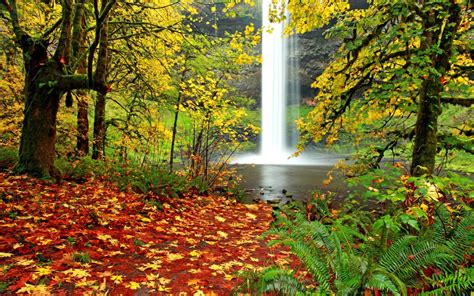 Waterfall In Autumn Forest Wallpapers And Images