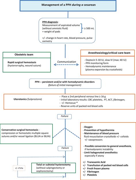 Postpartum Hemorrhage Guidelines For Clinical Practice From The French