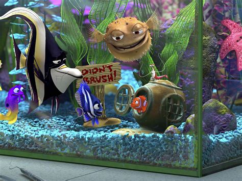 Fish In Tank Nemo