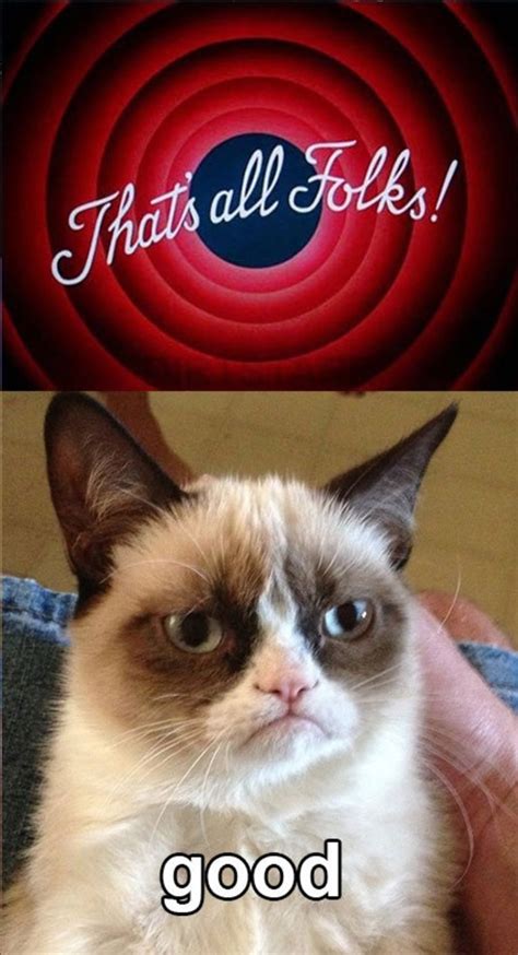40 Funny Grumpy Cat Memes