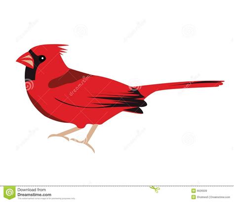 Cardinal Bird Logo Free Download On Clipartmag