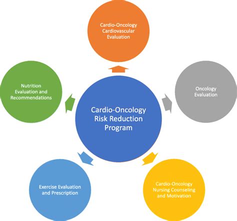 Cardio Oncology Risk Reduction Program Structure Download Scientific