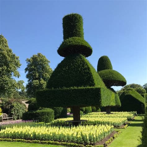 I Have This Thing With Topiaries Topiary Topiary Garden Parterre