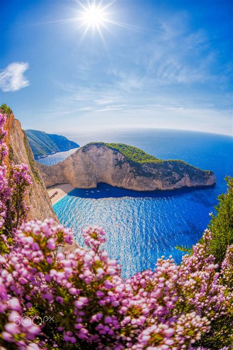 Navagio Beach With Shipwreck And Flowers Against Azure Sea On Zakynthos