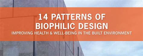 14 Patterns Of Biophilic Design Green Plants For Green Buildings