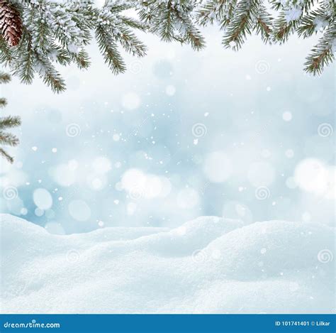 Winter Landscape With Snow And Christmas Trees Stock Image Image Of