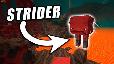 STRIDER TODO LO QUE DEBES SABER Minecraft YouTube