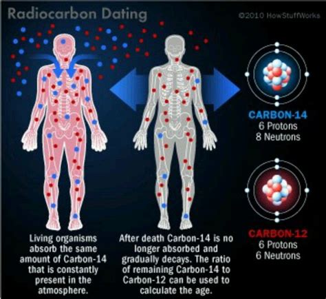 How does radioactive carbon dating work? 17 best Radiometric Dating 5 Radiocarbon Dating images on ...