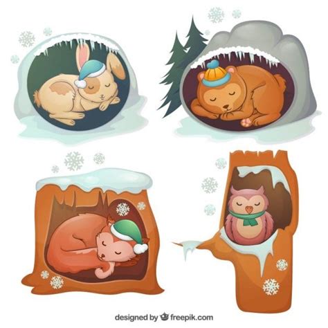 Free Vector Winter Animals Hibernating Winter Animals Animals That