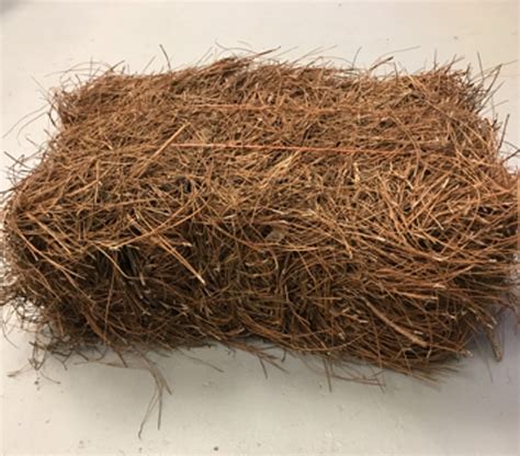 Pine Straw Bale Champion Mulch And Landscape Supply