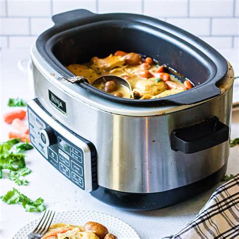 Breville Multi Cooker Factory Clearance Save 59 Jlcatjgobmx