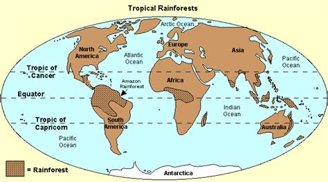 Explore our rainforests map with national geographic. World Map Amazon Rainforest Location | Frank Chamberlain