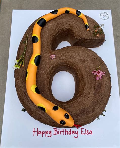 A Birthday Cake Shaped Like The Number Six With A Snake On Its Side
