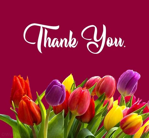 Thank You Messages To Write In A Appreciation Card Best Quotations Wishes Greetings For Get