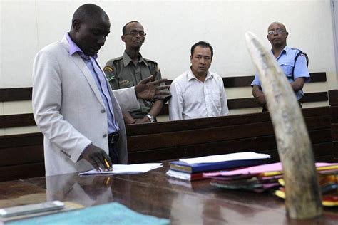 Chinese Smuggler Facing Jail In Kenyas Ivory Clampdown