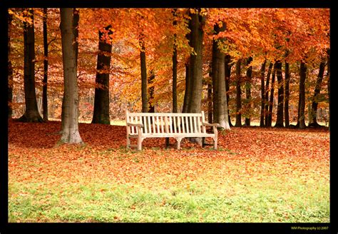 Garden Bench In Autumn Scenery This Photo Is Taken At Kas Flickr