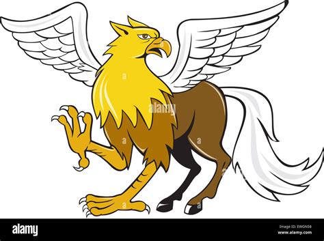 Illustration Of A Hippogriff Or Hippogryph Legendary Creature With