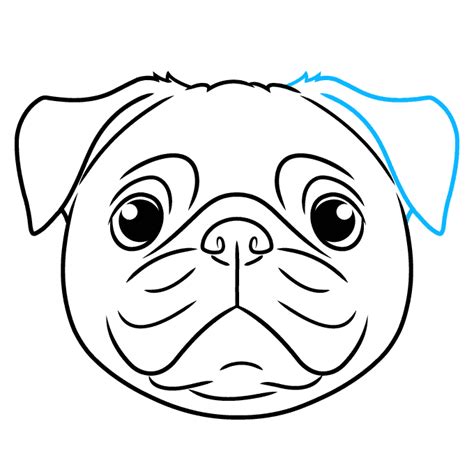 How To Draw A Pug Face Really Easy Drawing Tutorial