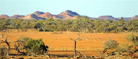 Outback Queensland Fascinating Endlessness