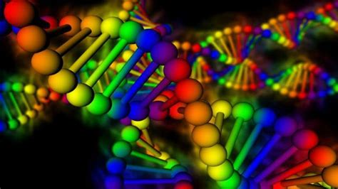 Adn kullanım eğitimi (akademisyenler için). Investigadores resuelven uno de los mayores misterios de ...