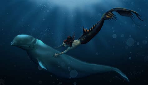 Mermaid And Beluga Whale By Melody Of Forest On Deviantart
