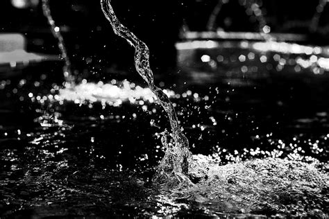 Free Images Water Branch Snow Light Black And White Night