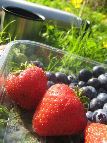 Strawberries & Blueberries 2 at Kew Gardens | twitter.com/an… | Flickr