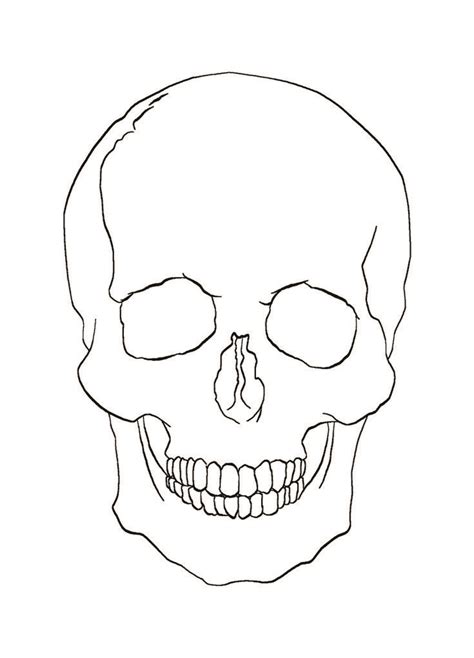 Skull Ink Lines Skulls Drawing Line Drawing Skull Art