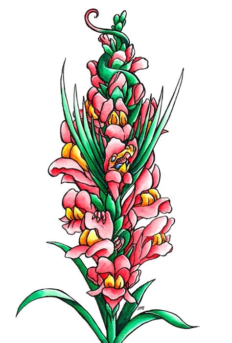 Snapdragon Flower Dragon An Art Print By Delyth Thomas Inprnt
