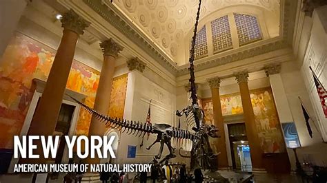 American Museum Of Natural History Inside Tour New York The Weekend