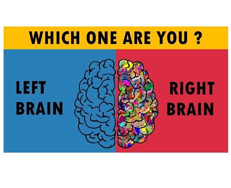 Right Brain Left Brain Test Iq Test For Free