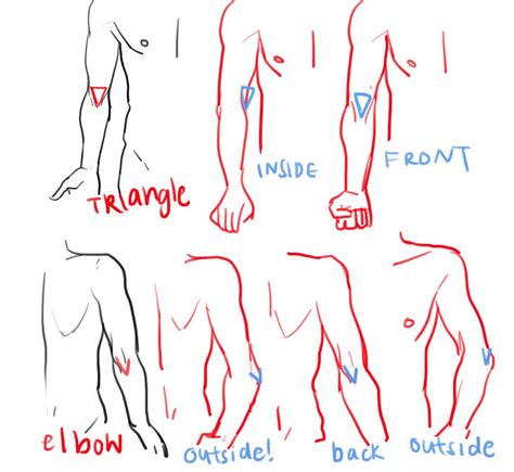 Arms Crossed Drawing Reference At Getdrawings Free Download