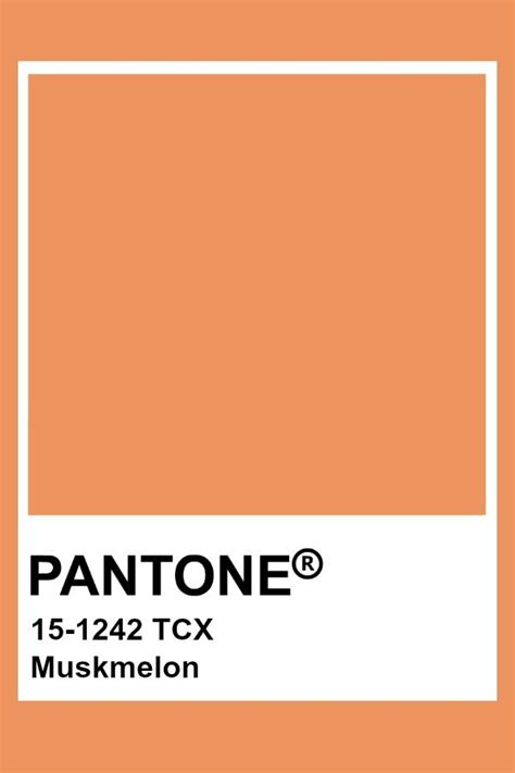 Pantone Tpg Sheet Muskmelon Pantone Canada Polycolors The Best Porn