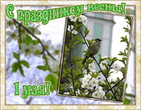 С праздником 8 марта, с международным женским днем! С Праздником Весны 1 Мая! - Открытки 1 Мая - Анимационные ...