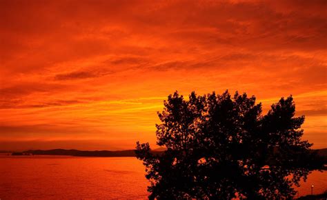 Hintergrundbilder Bäume Landschaft Sonnenuntergang Natur Himmel