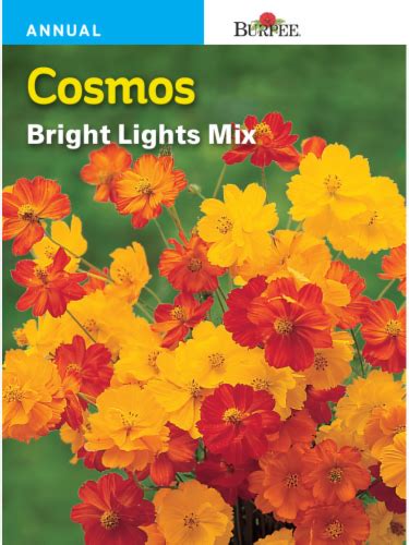 Burpee Cosmos Bright Lights Mixed Seeds 1 Ct Frys Food Stores