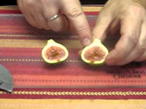 If you have recently discovered this exotic fruit, then first enjoy it in its pure form, without mixing anything. Fig Basics - YouTube