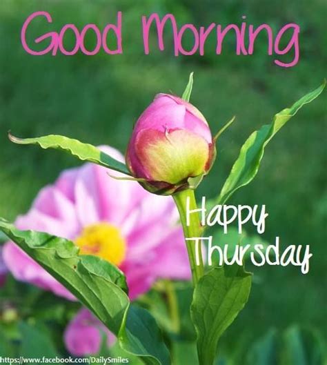 Good Morning Happy Thursday Pictures Photos And Images For Facebook