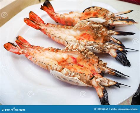 Grilled Big Tiger Shrimps Prawns On Plate Roasted Barbecue Shrimp