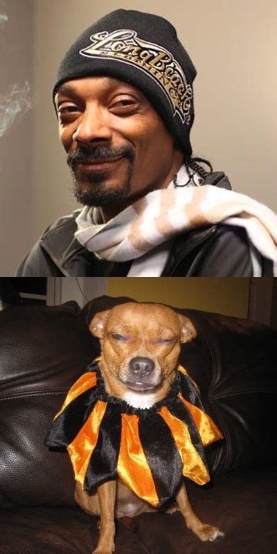 Ninasoho — My Dog Look Like Snoop Dog