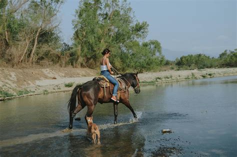 Photo Of Woman Riding A Horse On Body Of Water · Free Stock Photo