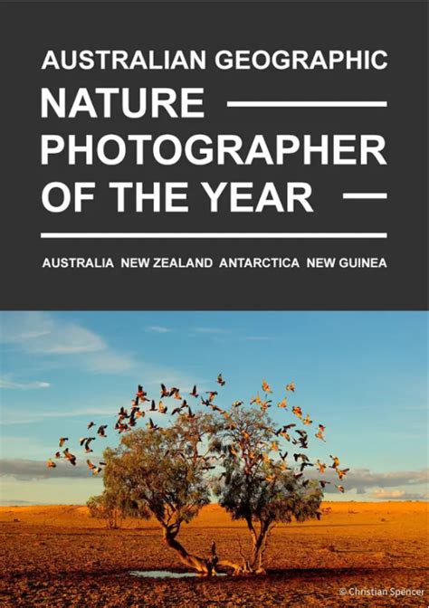 Geographic Nature Photographer Of The Year Photo Contest Insider