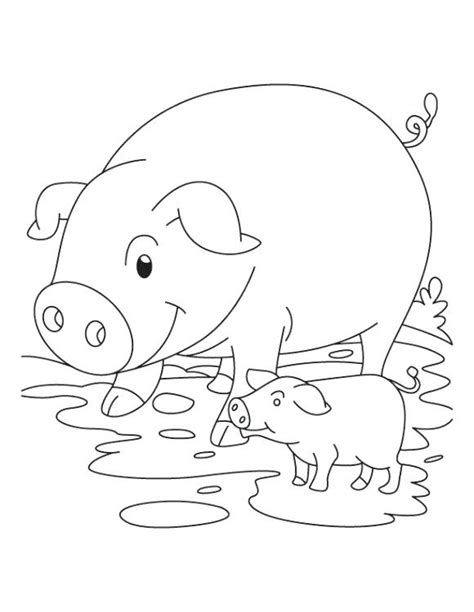 Cute Baby Pig Coloring Pages At Free Printable