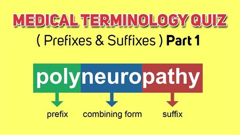 Medical Terminology Prefixes And Suffixes Root Word Quiz Part 1 Youtube