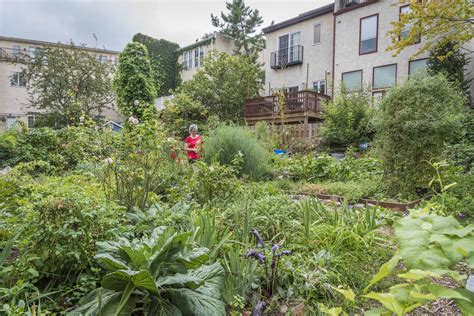 From Vacant Spaces To Philly Places Community Garden Edition Tickets