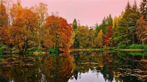 Beautiful Scenery Orange Green Yellow Autumn Trees Reflection On Pond