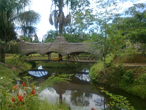 Lugares Turisticos De La Amazonia Ecuatoriana Lugares Turisticos De La