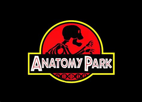 Anatomy Park Digital Art By Velix Lantar Pixels